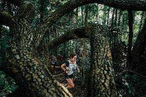 BIB: 
                            <button type="button" onclick="openModal(25663499)" class="btn btn-primary btn-sm float-right btn-popup" data-toggle="modal" data-target=".modal-high-quality">
                        <i class="fas fa-shopping-cart"></i> Add to Cart
                    </button>
                                            <button type="button" onclick="isThisMe(25663499, true)" class="btn btn-success btn-sm float-right btn-popup btn-isme hidden" data-toggle="tooltip" data-placement="bottom" title="นี่คือรูปของคุณใช่ไหม คลิกที่นี่เพื่อเอาเข้าอัลบั้ม">
                        <i class="fas fa-plus"></i> Add to album
                    </button>
                    <button type="button" onclick="isThisMe(25663499, false)" class="btn btn-warning btn-sm float-right btn-popup btn-isnotme hidden">
                        <i class="fas fa-ban"></i> Remove from album
                    </button>